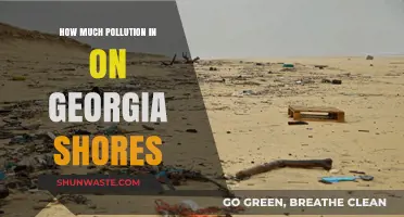 Georgia's Shore Pollution: A Troubling Reality