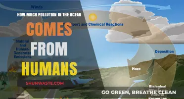 Human Impact: Ocean Pollution Sources