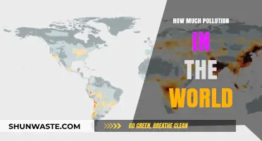 Pollution's Global Impact: A World of Woes