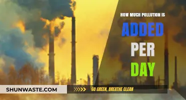 The Daily Pollution Problem