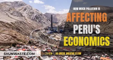 Peru's Economy Suffers from Pollution's Heavy Hand