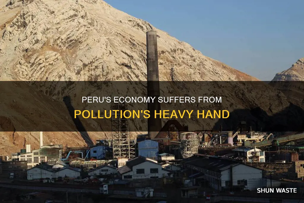 how much pollution is affecting peru