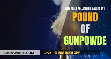 Explosive Impact: Unveiling Gunpowder's Pollution Footprint