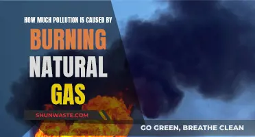 Natural Gas's Dark Secret: The Hidden Cost of Pollution