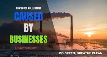 The Environmental Impact: Businesses' Role in Pollution