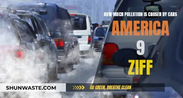 The Impact of Cars on America's Pollution: A Comprehensive Analysis