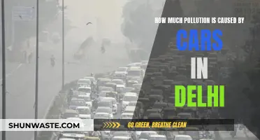 Delhi's Car-Caused Pollution: A Deep Dive into the Problem and Possible Solutions