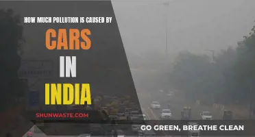 India's Car Pollution Crisis: A Deep Dive