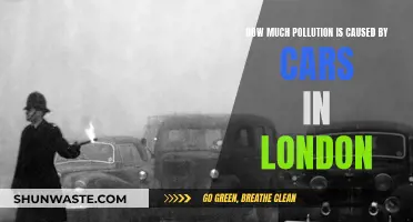 London's Car Pollution: A City's Environmental Challenge