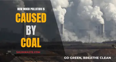 The Dark Side of Coal: Unveiling Its Pollution Impact