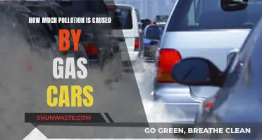 Gas Cars: The Hidden Environmental Cost of Our Commutes