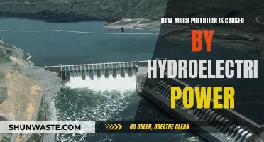 Hydroelectric Power's Environmental Impact: A Deep Dive into Pollution