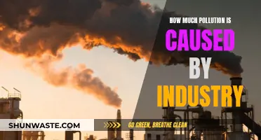 Industrial Pollution: A Global Concern