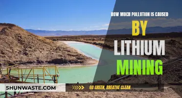 The Environmental Impact: Unveiling Lithium Mining's Pollution