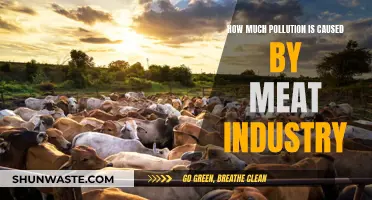 The Surprising Impact: Meat Industry's Hidden Pollution Crisis