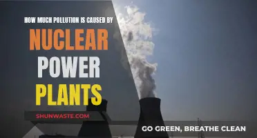 Unveiling the Environmental Impact: Nuclear Power's Pollution Truth