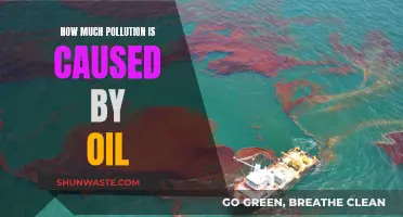 The Environmental Impact: Oil's Pollution Crisis