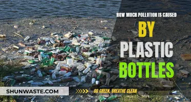 The Environmental Impact: Plastic Bottles and Their Pollution