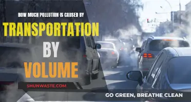 Transportation's Impact: The Volume of Pollution Caused by Travel