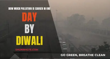 Diwali's Daily Pollution: A Shocking One-Day Impact