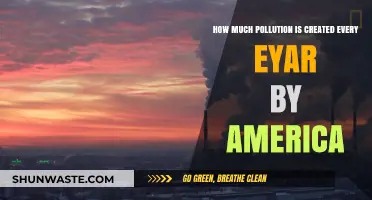 America's Annual Pollution Problem