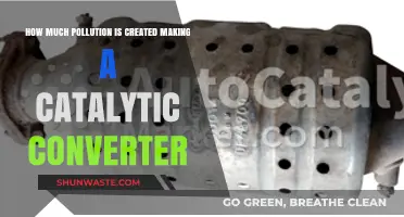 Catalytic Converters: Pollution Cost of Production