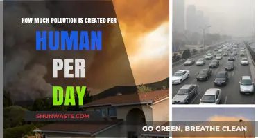 Human Impact: Daily Pollution Footprint