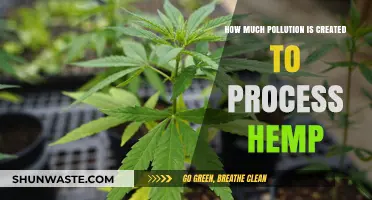 Hemp's Pollution Problem: Processing's Environmental Impact
