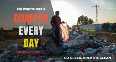 The Earth Suffers: Daily Pollution Dumping Statistics