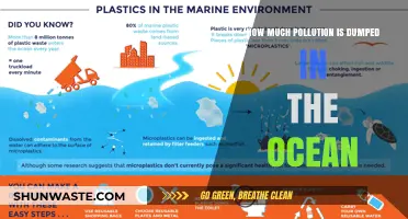 Ocean Pollution Crisis: Dumping Toxic Waste