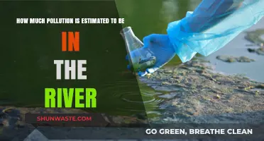River Pollution: Estimating the Devastation