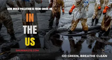 Crude Oil Pollution: A US Environmental Crisis