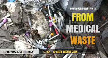 Medical Waste's Pollution Problem