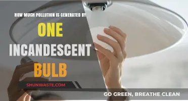 Incandescent Bulbs: Energy Vampires, Pollution Creators