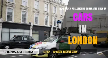 London's Car Pollution Crisis: A Critical Analysis