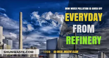 Refinery Pollution: Daily Emissions and Their Impact