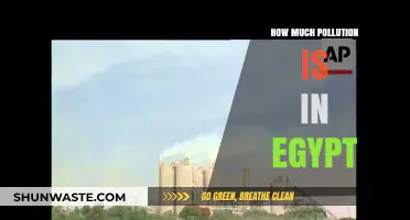 Egypt's Pollution Problem: A Comprehensive Overview