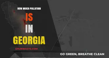Georgia's Pollution Problem: A Comprehensive Overview