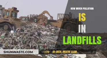 Landfills: Pollution's Impact and the Need for Change