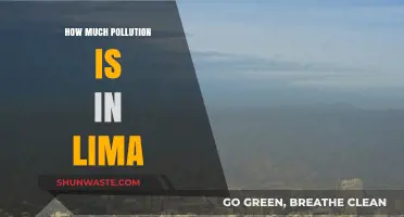 Lima's Pollution Crisis: A Critical Analysis