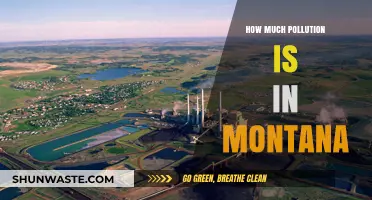 Montana's Pollution Levels: A Comprehensive Overview