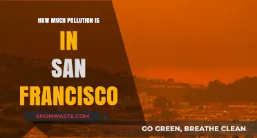 San Francisco's Pollution: A Comprehensive Overview