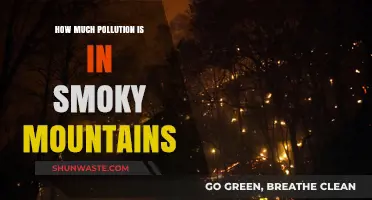 The Smoky Mountains: Pollution's Impact