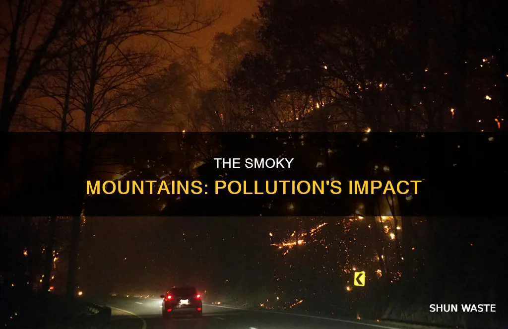 how much pollution is in smoky mountains
