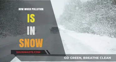 Polluted Snow: A Hidden Danger in Winter