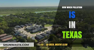 Texas Pollution: A Troubling Overview