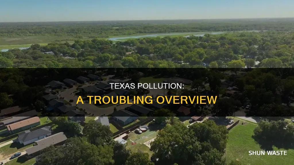 how much pollution is in texas