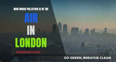 London's Air Quality: A Pollution Crisis