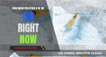Air Pollution: Current State of Our Air Quality