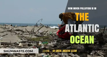 The Atlantic Ocean: Pollution Crisis